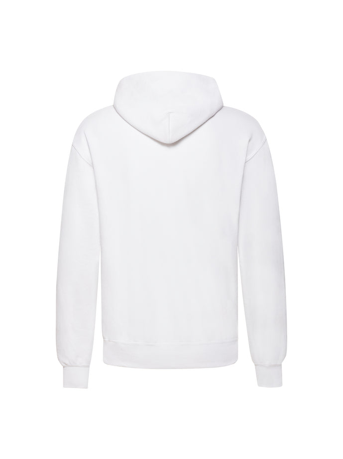 Fruit Cryptomeme Hoodie 1