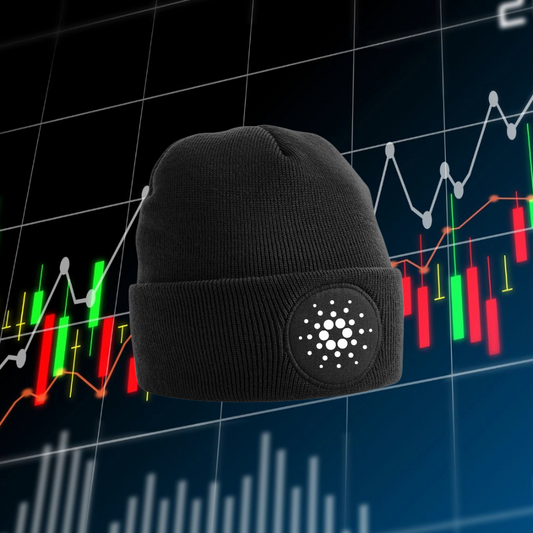 Cool Crypto Beanie for Blockchain users!